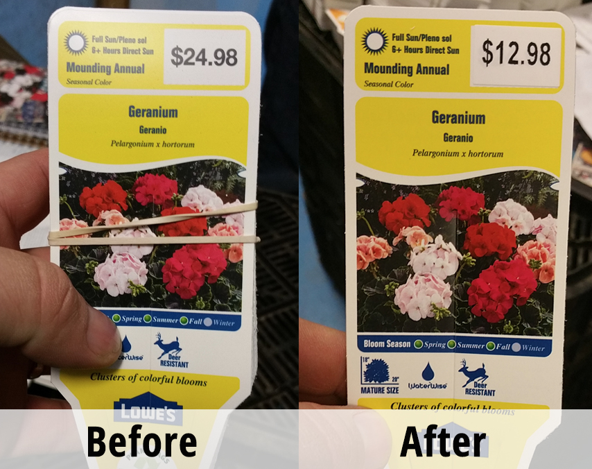 Before & After example of over labeling price on plant tag