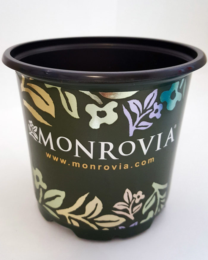 Monrovia label with foiling