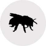 Value points - bee icon for plant labels