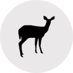 Value points - deer icon for plant labels