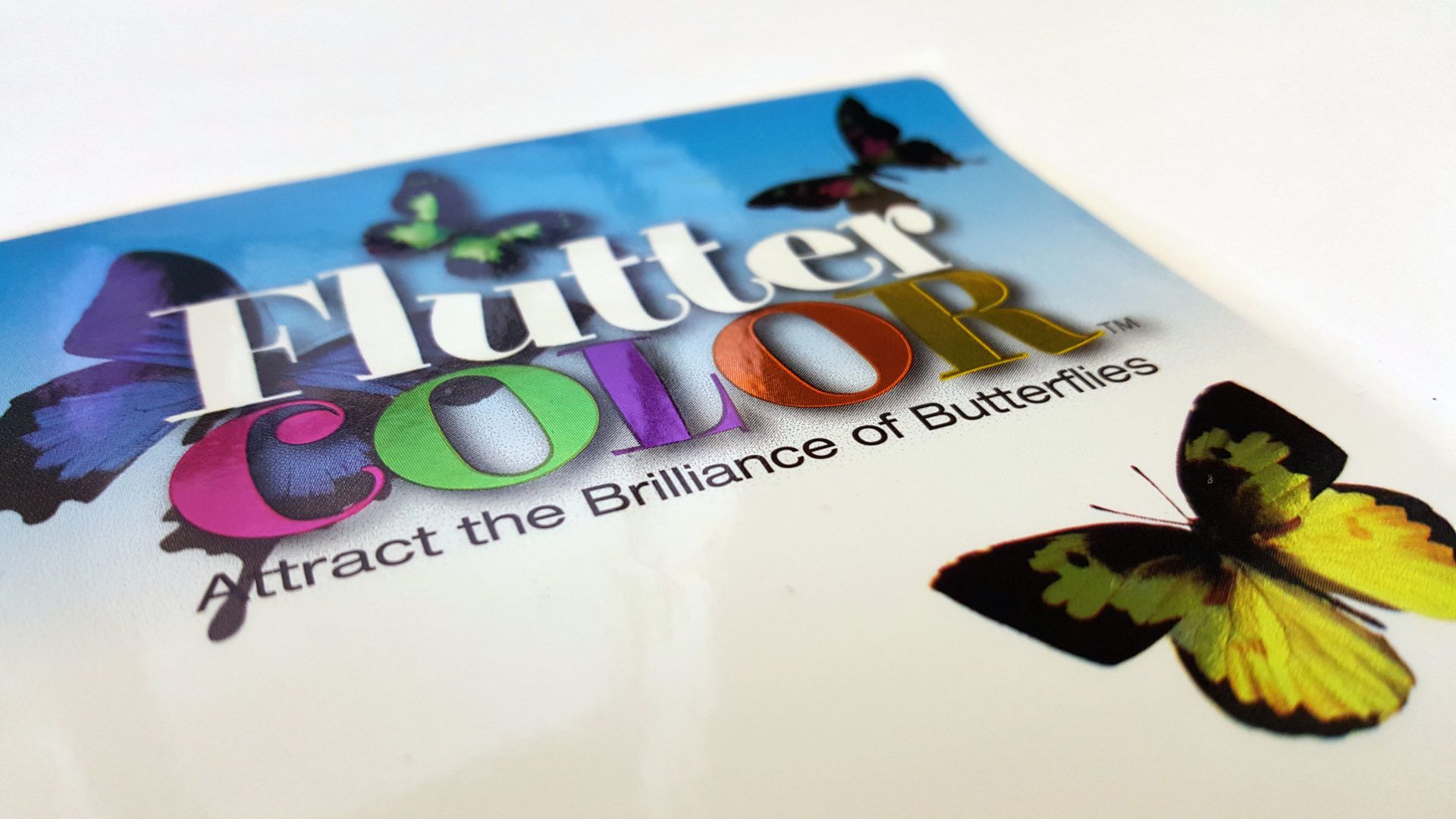 Costa Farms label Flutter Color with foiled fonts and butterflies