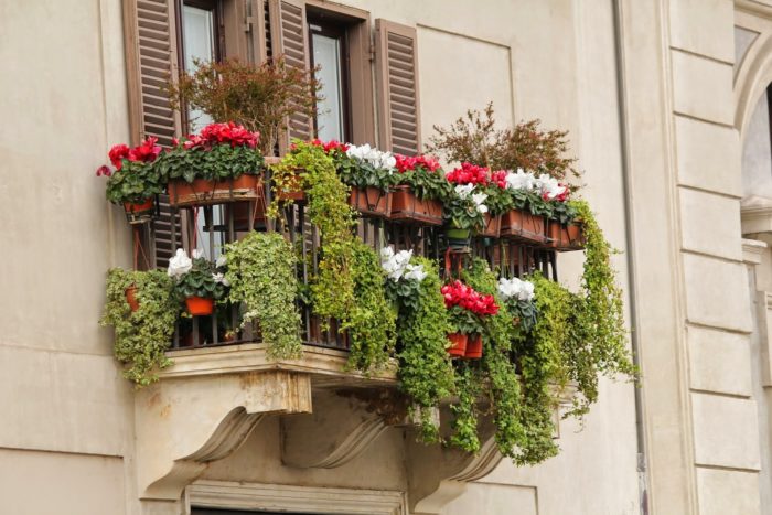 balcony covered in plants as privacy fence
