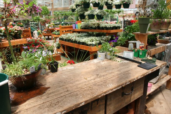garden center all in one shopping experience