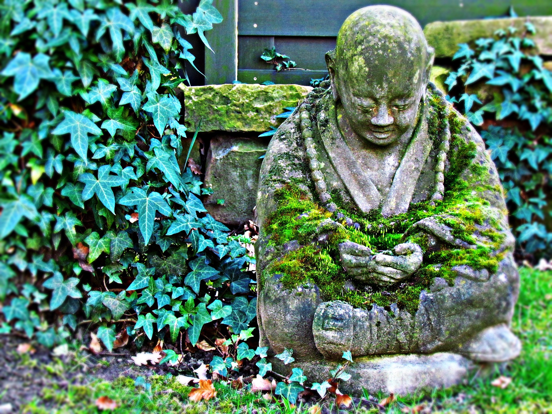 Zen gardens buddha statue