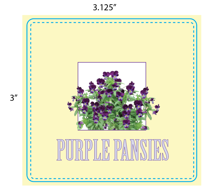 Pastel Pansy Label For Spring/Summer Horticulture Label Design Walkthrough - less than standard text