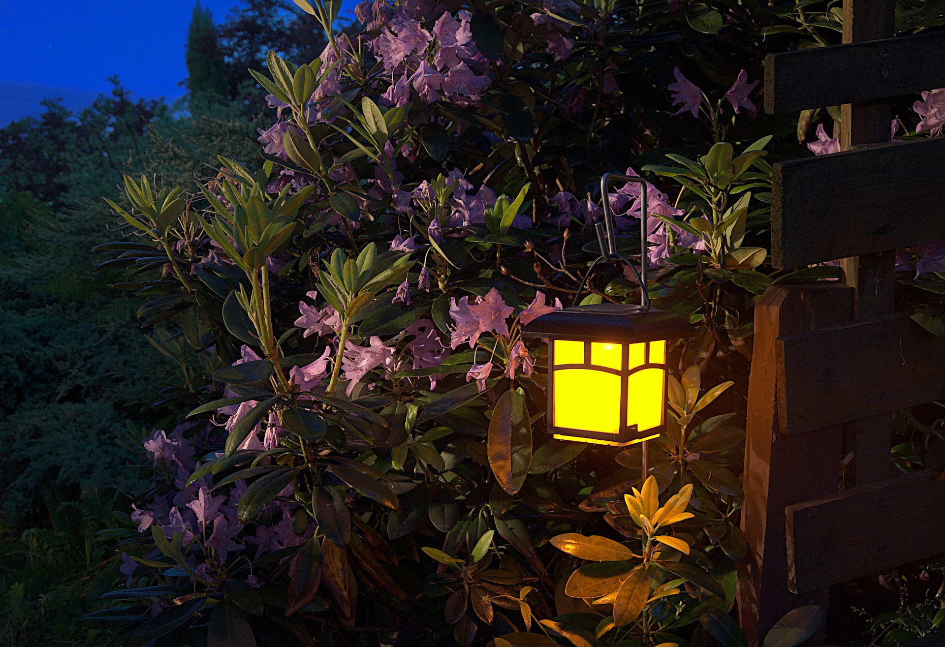 sensory garden with light