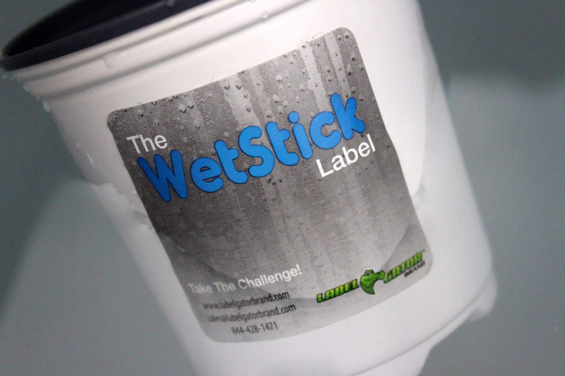 wetstick label - great lakes label - meet label gator video still