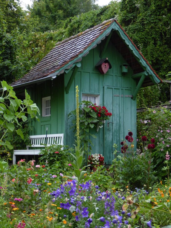 garden shed for mental wellness with pollinator plants and bird house