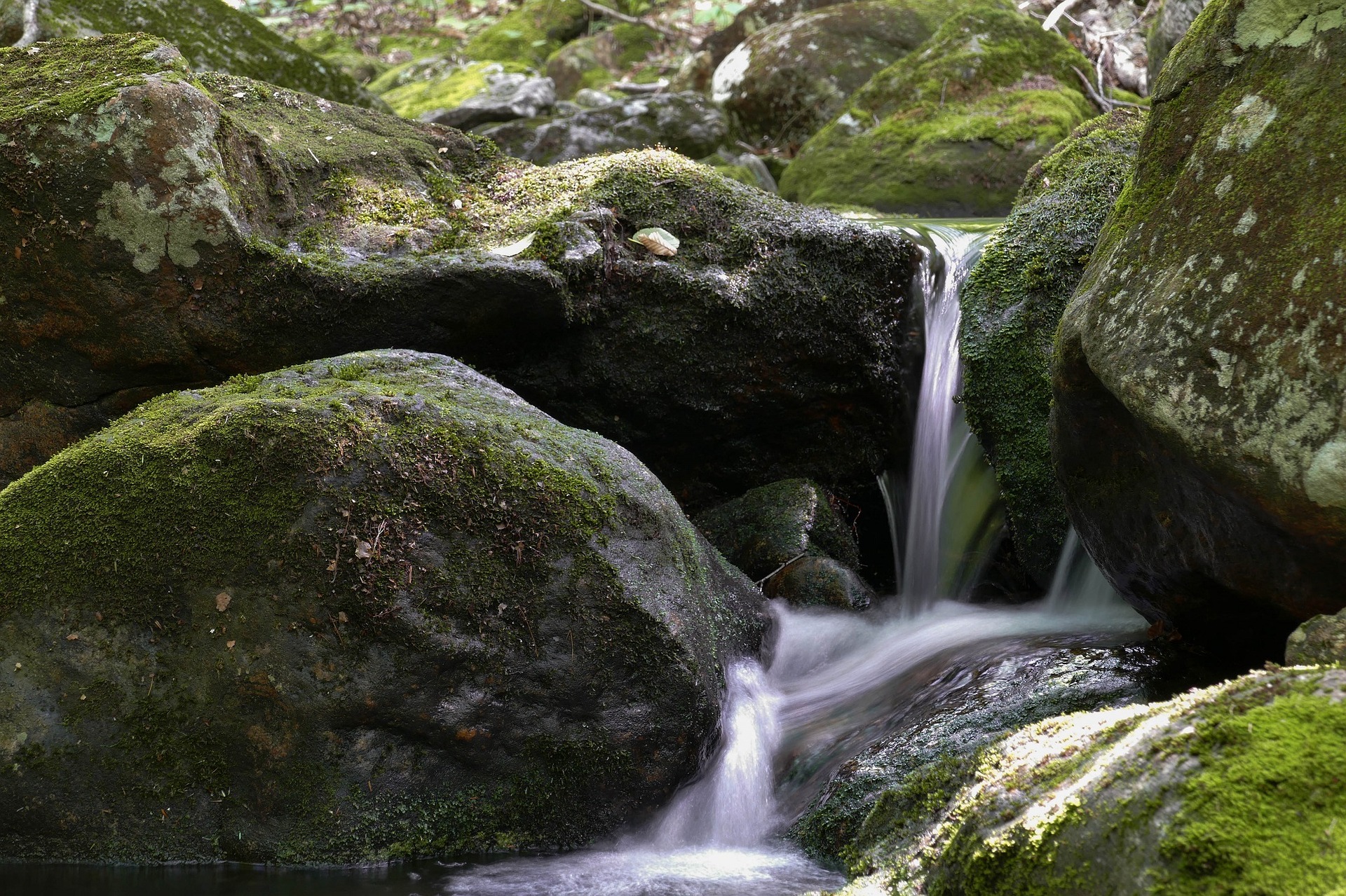 moss rock waterfall in garden toxin removing plants