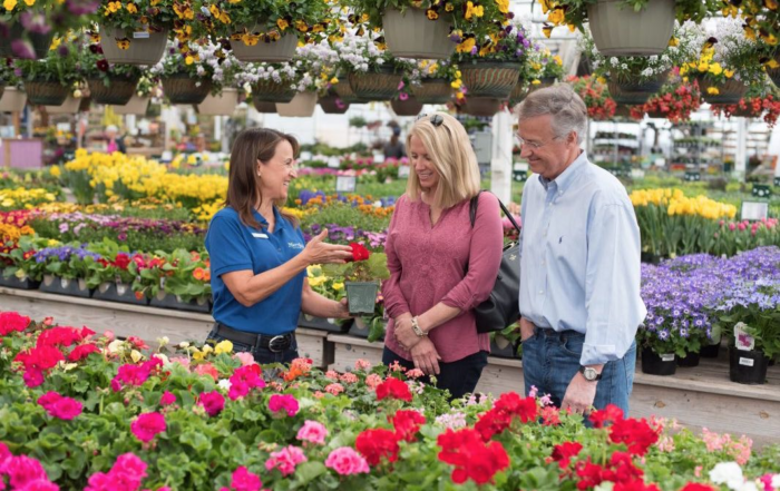 online shopping versus in store garden center - Gardening trends 2020 

