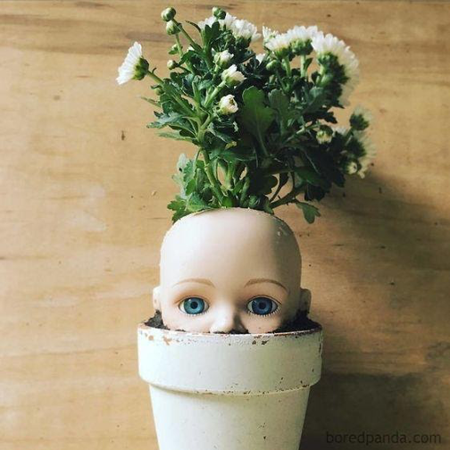 plant containers baby head