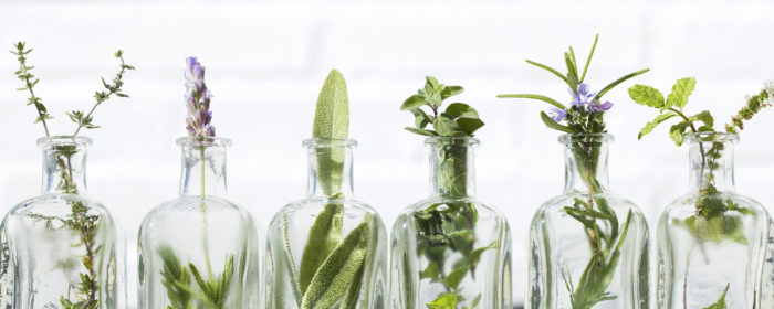 line of healing plants in glass jars