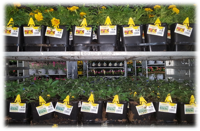 Horticulture Labeling Solutions