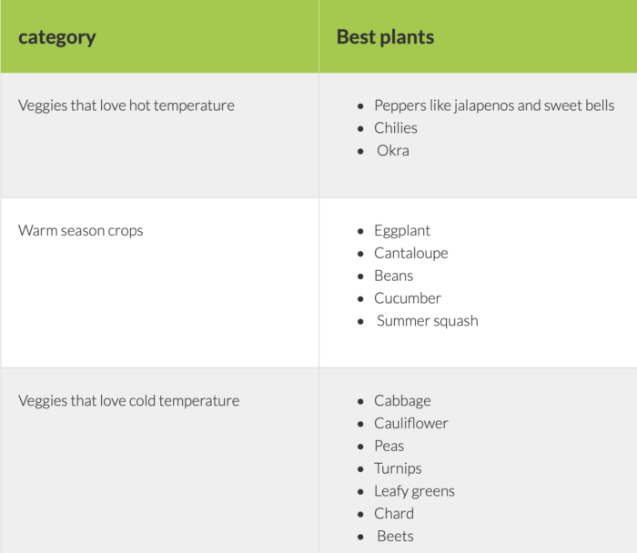 veggies growing in greenhouse chart