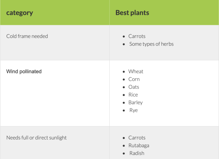 veggies grown outdoors chart