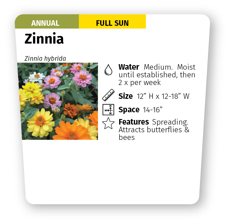 Partially Pre-Printed Picture label horticulture labels