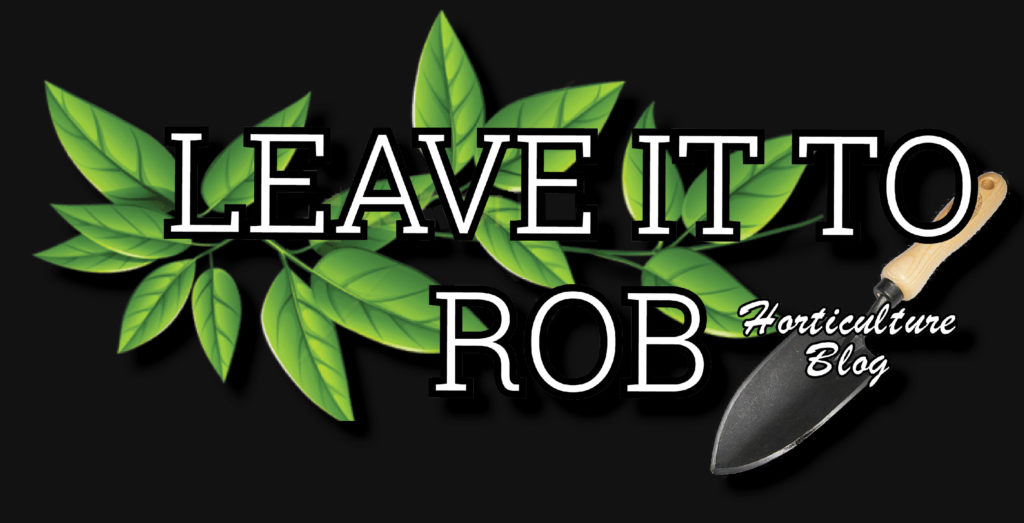 Leave it to Rob - Horticulture Blog logo