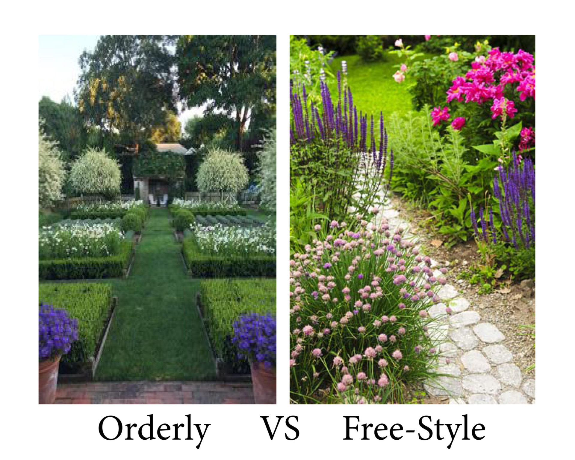 garden style - orderly vs free-style plants 