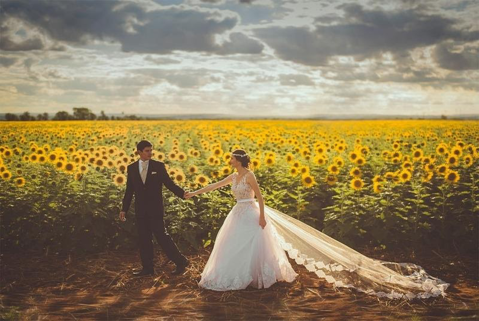 field of sunflowers with married couple 