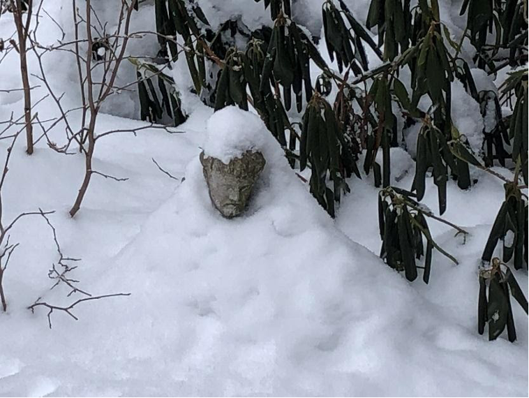 St Francis of Assisi statue buried in snow 