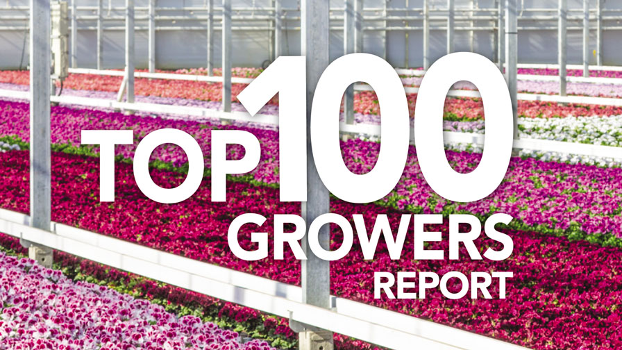 2021 Top 100 Growers
